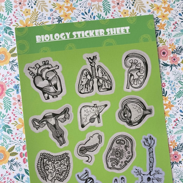 Biology/Human Anatomy Sticker Sheet