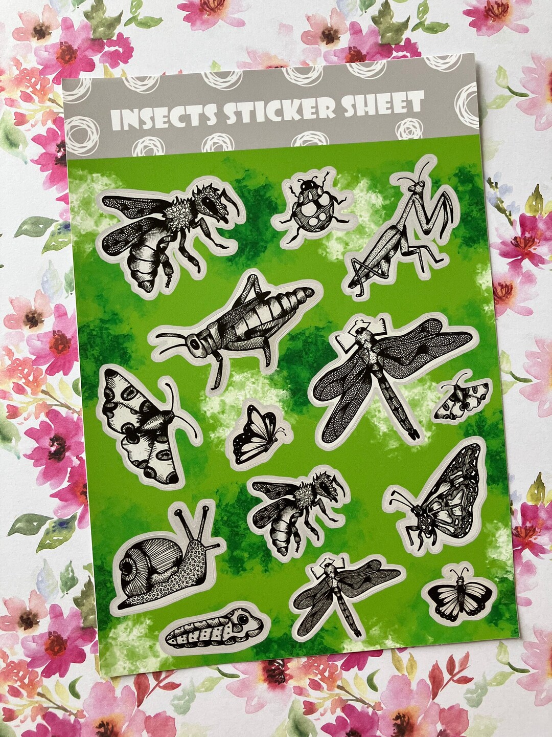Printable Insect Sticker Sheet Insects Sticker Sheet | Hand Drawn Stickers - Etsy