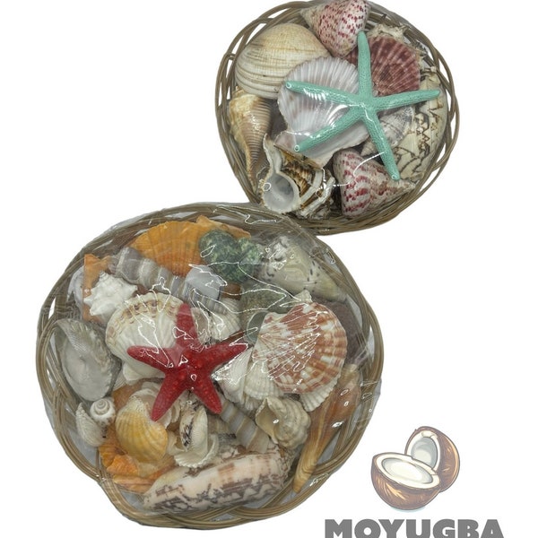Carga de Olokun Small/Medium - Seashells - Santeria/Yoruba