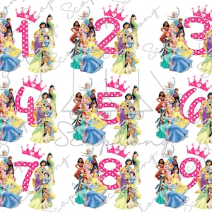 Bundel verjaardag meisje PNG, prinses PNG, familievakantie, familiereis PNG, magisch koninkrijk, familie bijpassende verjaardag PNG, sublimatiebestand