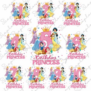 Geburtstag Prinzessin Png, Geburtstagskind Png, Familie Passende Geburtstag Png, Familienurlaub, Familienreise Png, Magisches Königreich, Sublimationsdatei
