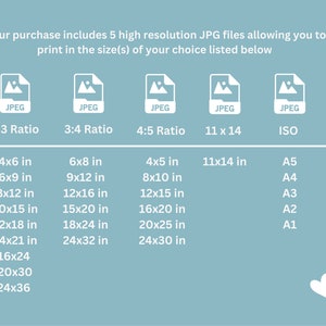 May include: A chart showing different print sizes for digital images in inches. The chart includes five columns: 2:3 Ratio, 3:4 Ratio, 4:5 Ratio, 11 x 14, and ISO. Each column lists different print sizes in inches. The chart is on a light blue background.