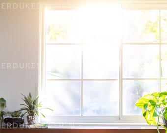 May include: A sunlit interior with a large white window and a grid pattern. Potted green plants sit on a wooden surface in front of the window, creating a natural atmosphere. The image is branded with the text "SPENCERDUKES DESIGN".