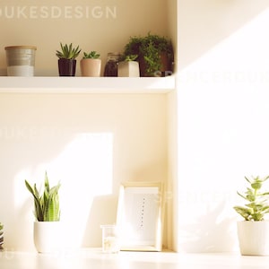 May include: A bright, sunlit interior scene featuring a white shelf with books, jars, and potted plants. Below, a snake plant and other succulents sit on a table. A framed picture and candles add to the decor. The overall theme is home decor.