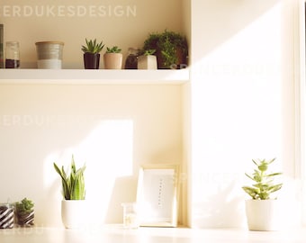 May include: A sunlit interior scene with a white shelf displaying books, jars, and potted plants. Below, a snake plant and other succulents are on a table. A framed picture and candles complete the decor. The theme is home decor.