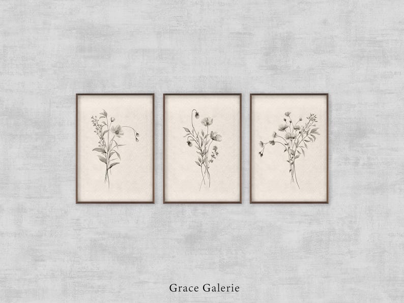 K&ouml;nnte beinhalten: Drei schwarz-wei&szlig;e gerahmte Drucke von botanischen Illustrationen von Blumen. Die Drucke befinden sich auf einem hellgrauen strukturierten Hintergrund. Der Text "Grace Galerie" befindet sich am unteren Rand des Bildes.