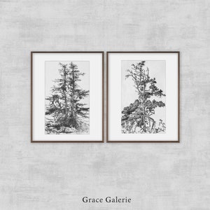 Vintage Gallery Wall Print Set | Set of 2 | Tree Sketches Etching Print | Digital PRINTABLE