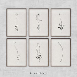 Gallery Set of 6 | Vintage Gallery Set | Vintage Botanical Sketch | Neutral Wall Art Branch | Farmhouse Decor | PRINTABLE Digital Download