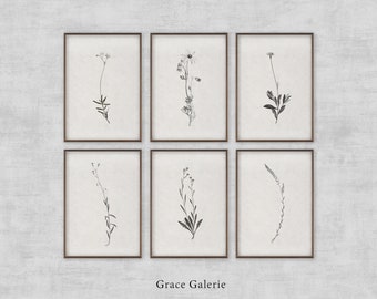 Gallery Set of 6 | Vintage Gallery Set | Vintage Botanical Sketch | Neutral Wall Art Branch | Farmhouse Decor | PRINTABLE Digital Download