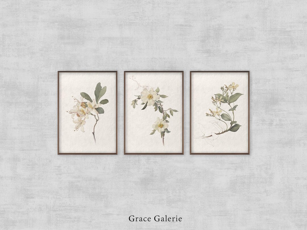Set of 3 | Vintage Botanical Gallery Wall Print SET | Farmhouse Deco ...