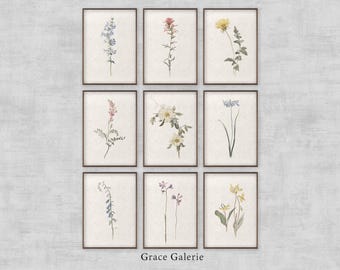 May include: Nine framed botanical art prints featuring watercolor illustrations of various flowers in shades of blue, red, yellow, and pink. The artwork is set against a neutral background, with the text "Grace Galerie" at the bottom.