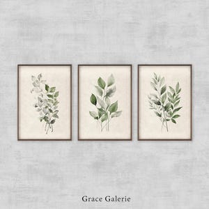 Puede incluir: Tres láminas botánicas enmarcadas con ilustraciones de acuarela de hojas verdes. Cada lámina tiene un marco marrón y un fondo crema. Las láminas están dispuestas en fila contra una pared gris texturizada. El texto "Grace Galerie" está en la parte inferior.