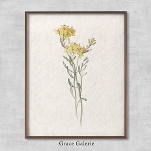 Vintage Botanical | Rustic Floral Art | Vintage Flower | Farmhouse Decor | American Wildflower with Yellow Blossoms | Printable Art