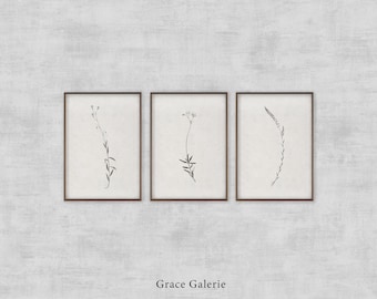 Gallery Set of 3 | Vintage Gallery Set | Vintage Botanical Sketch | Neutral Wall Art Branch | Farmhouse Decor | PRINTABLE Digital Download