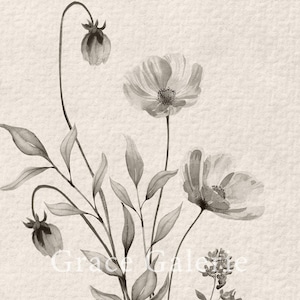 K&ouml;nnte beinhalten: Ein Schwarzwei&szlig;-Aquarellbild eines Blumenstrau&szlig;es. Die Blumen sind zart und haben eine weiche, &auml;therische Qualit&auml;t. Das Bild ist auf einem strukturierten Hintergrund.