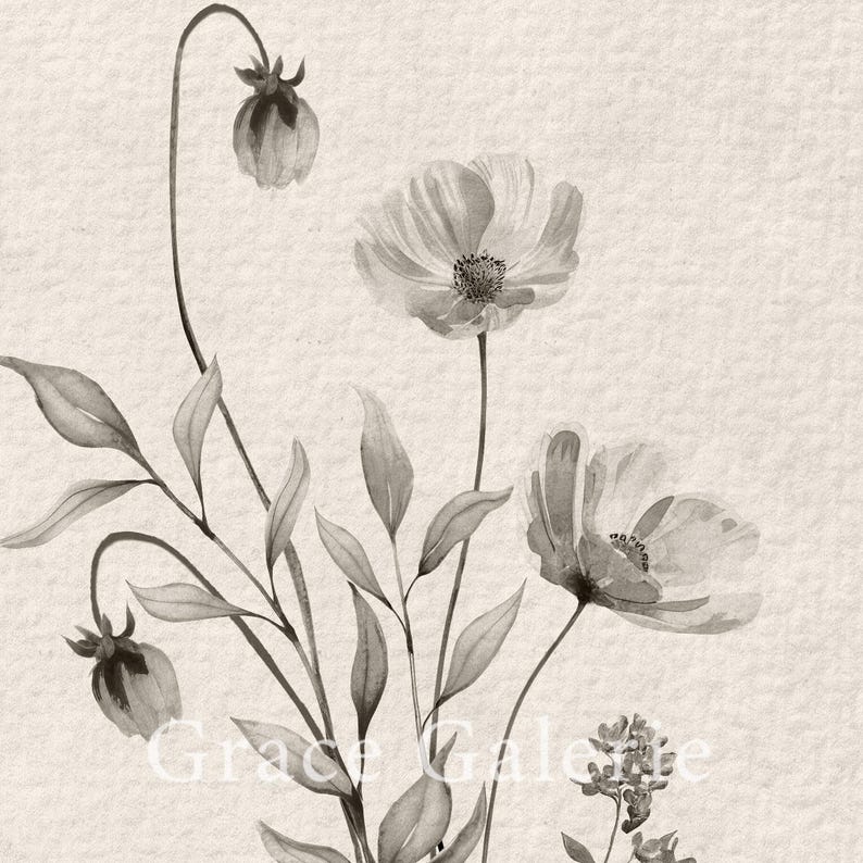 K&ouml;nnte beinhalten: Ein Schwarzwei&szlig;-Aquarellbild eines Blumenstrau&szlig;es. Die Blumen sind zart und haben eine weiche, &auml;therische Qualit&auml;t. Das Bild ist auf einem strukturierten Hintergrund.