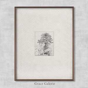 Op de afbeelding: Een ingelijste zwart-wit ets van een boom en het omringende gebladerte. Het kunstwerk is gecentreerd op een getextureerde, gebroken witte achtergrond, binnen een donkerbruine houten lijst. De woorden "Grace Galerie" staan onderaan afgedrukt.