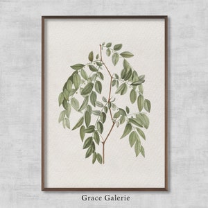 Jujube branch | Vintage Painting | Antique Wall Deco | PRINTABLE Digital Download