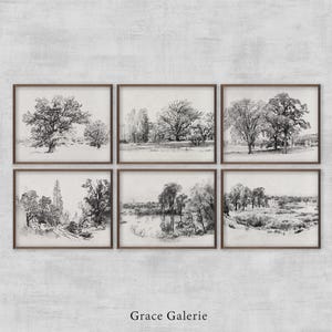 May include: Six framed black and white landscape art prints. Each print depicts a different tree or landscape scene. The frames are a dark brown colour. The text "Grace Galerie" is at the bottom of the image.