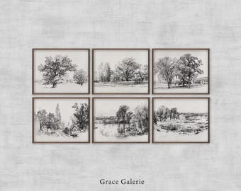 Set of 6 | Vintage Gallery Wall Print Set | Vintage Landscape Sketch | Trees | Vintage Etching | Farmhouse Deco | Digital PRINTABLE