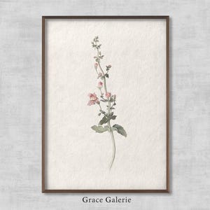Vintage Botanical | Rustic Floral Art | Vintage Flower | Farmhouse Decor | American Wildflower with Pink Blossoms | Printable Art