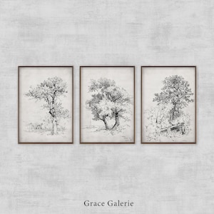 Könnte beinhalten: Drei Schwarzweiß-Zeichnungen von Bäumen in Rahmen, jede mit einem anderen Baum- und Hintergrundstil. Die Rahmen sind aus braunem Holz.