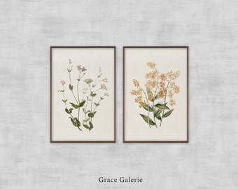 May include: Two framed botanical prints with white and light pink flowers on the left and orange flowers on the right.