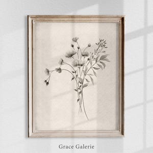 K&ouml;nnte beinhalten: Eine Schwarzwei&szlig;-Aquarellillustration eines Blumenstrau&szlig;es in einem einfachen Rahmen. Die Blumen sind zart und haben einen Vintage-Charakter. Der Text "Grace Galerie" ist unter dem Bild gedruckt.