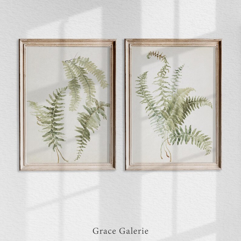 Vintage Botany Gallery Wall Art | Set of 2 | Study of Ferns | PRINTABLE ...