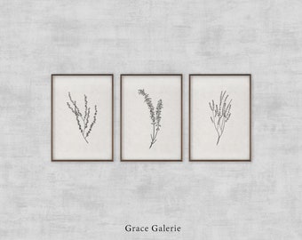 Gallery Set of 3 | Vintage Gallery Set | Vintage Botanical Sketch | Neutral Wall Art Branch | Farmhouse Decor | PRINTABLE Digital Download