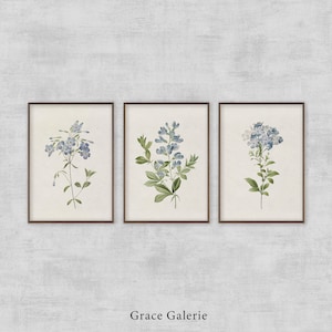 Impresión de pared con galería botánica vintage / Juego de 3 / Decoración de pared rústica IMPRIMIBLE digital