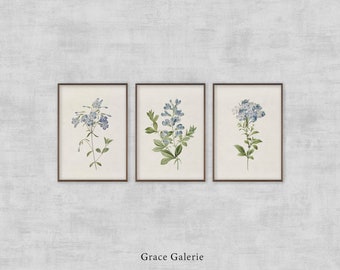 Vintage botanische Galerie Wandbild | 3er-Set | Rustikale Wanddekoration DRUCKBARE Digital