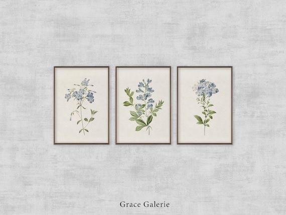 Vintage Botanical Gallery Wall Print | Set of 3 | Rustic Wall Decor PRINTABLE Digital
