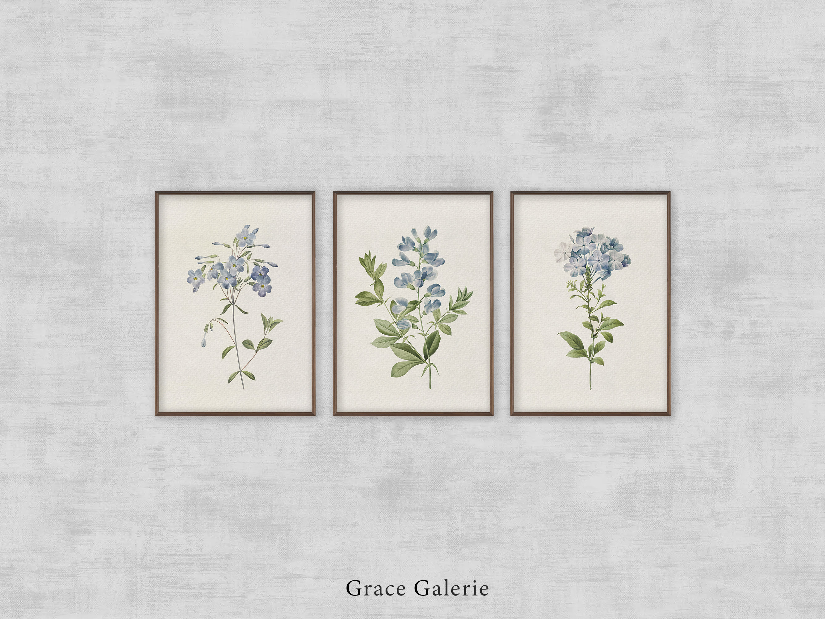 Vintage Botanical Gallery Wall Print | Set of 3 | Rustic Wall Decor PRINTABLE Digital