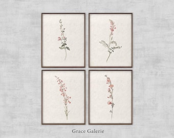 Gallery Set of 4 | Vintage Gallery Set | Vintage Botanical Sketch | Neutral Wall Art Branch | Farmhouse Decor | PRINTABLE Digital Download