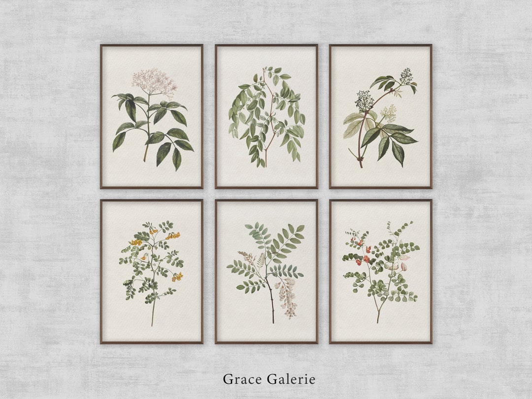 Vintage Botanical Gallery Wall Print | Set of 6 | Rustic Wall Decor ...