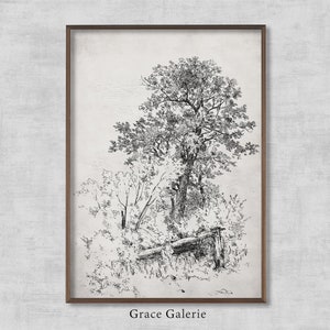 May include: Black and white line drawing of a tree with branches and leaves. The tree is in a forest setting with other trees and foliage. The drawing is framed in a brown frame with the text "Grace Galerie" below the image.
