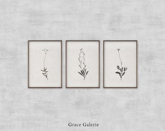 Gallery Set of 3 | Vintage Gallery Set | Vintage Botanical Sketch | Neutral Wall Art Branch | Farmhouse Decor | PRINTABLE Digital Download