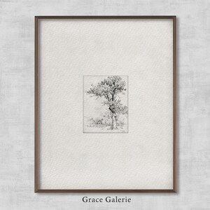 May include: A black and white pencil drawing of a tree in a frame. The drawing is simple and elegant, with a focus on the tree's branches and leaves. The frame is a simple, brown wood frame.