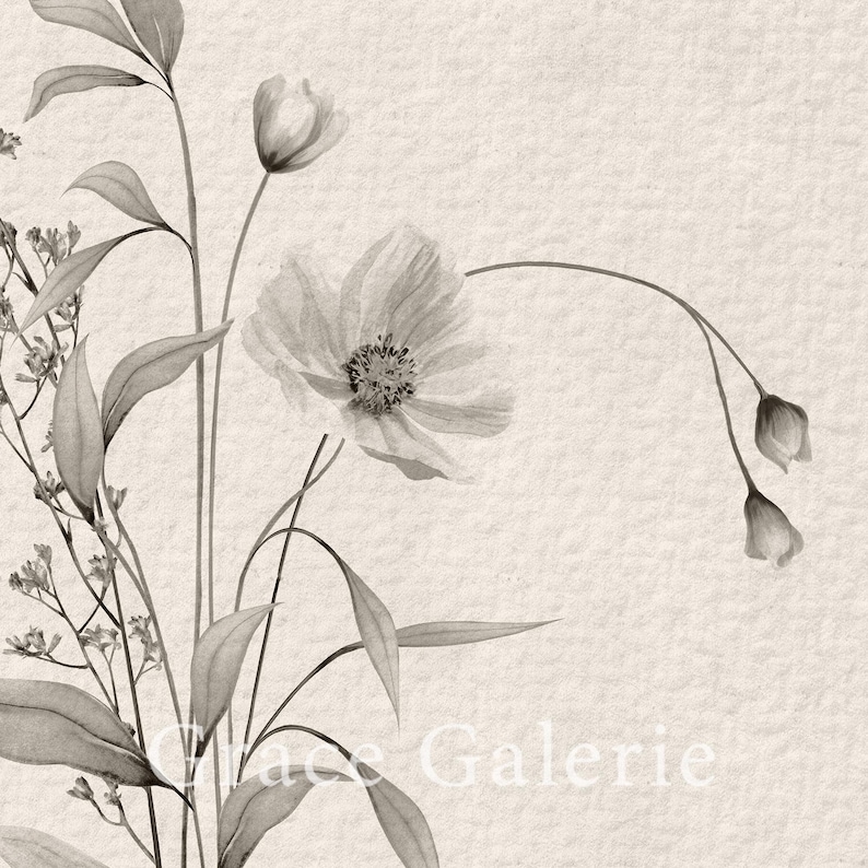 K&ouml;nnte beinhalten: Ein Schwarzwei&szlig;foto eines Blumenstrau&szlig;es mit zarten Bl&uuml;tenbl&auml;ttern und Bl&auml;ttern. Die Blumen sind in einer Vase arrangiert und der Hintergrund ist hellgrau.