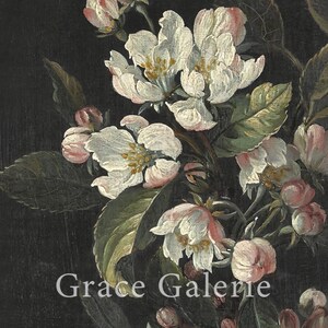 Puede incluir: Primer plano de una pintura floral con flores blancas con centros amarillos y p&eacute;talos te&ntilde;idos de rosa. Hojas verdes y capullos se intercalan entre las flores. El texto "Grace Galerie" est&aacute; en la parte inferior de la imagen, sobre un fondo oscuro.
