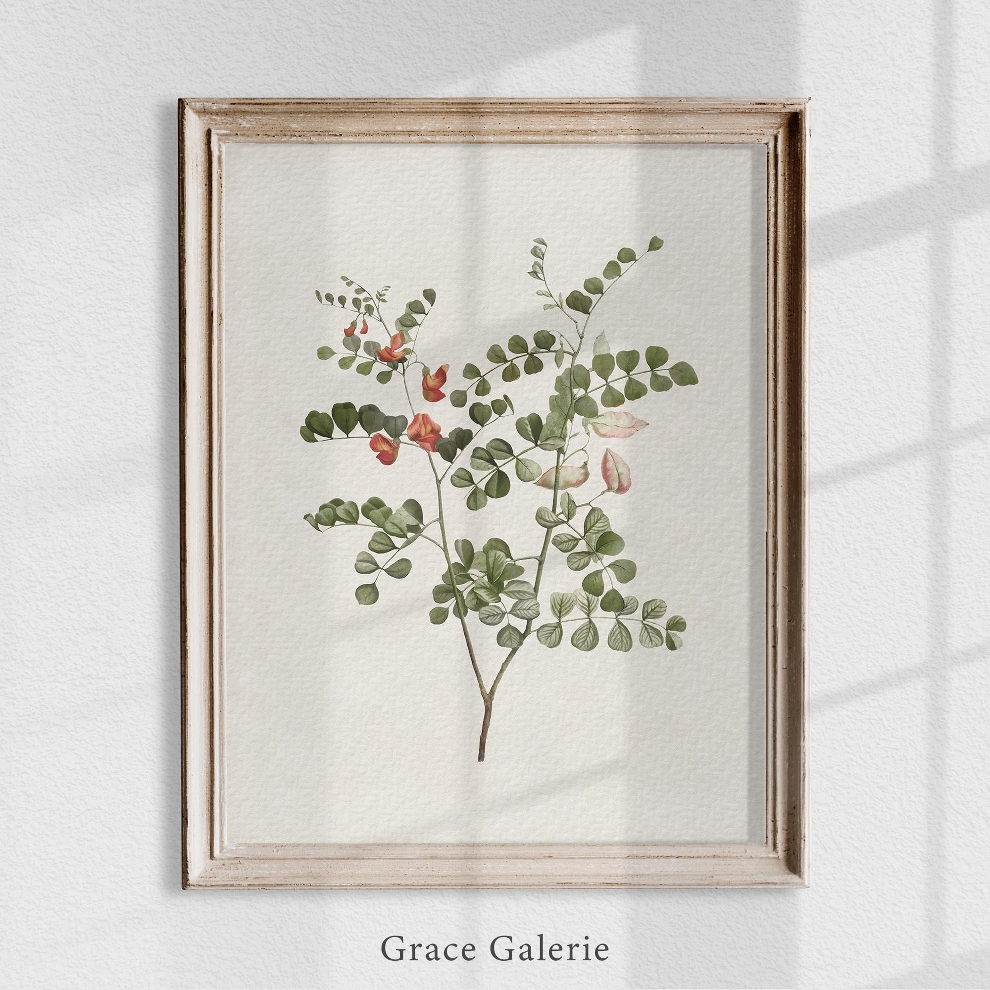 Vintage Botany Gallery Wall Art | Set of 2 | Vintage Botany | PRINTABLE ...