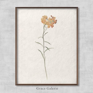 Vintage Botanical | Rustic Floral Art | Vintage Flower | Farmhouse Decor | Western Wall flower | Soft Deco | Printable Art