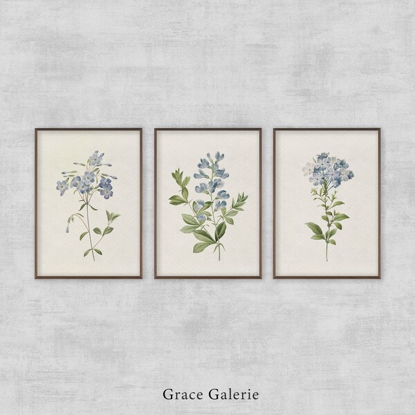 Vintage Botanical Gallery Wall Print | Set of 3 | Rustic Wall Decor PRINTABLE Digital