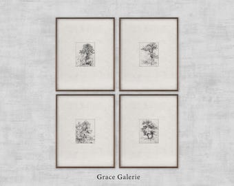 Gallery Set of 4 | Vintage Gallery Set | Tree Sketches | Neutral Gray Wall Art | Farmhouse Decor | PRINTABLE Digital Download