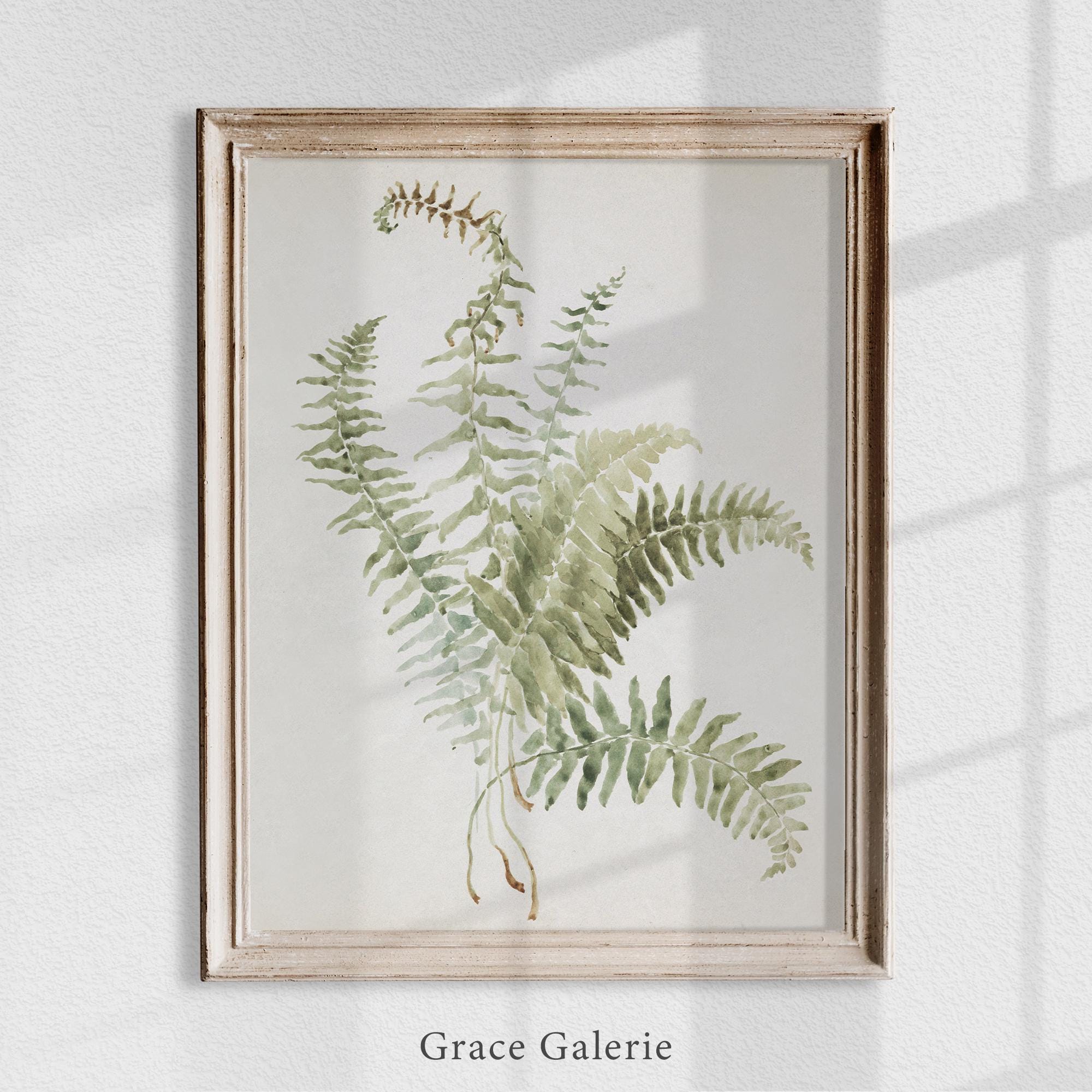 Vintage Botany Gallery Wall Art | Set of 2 | Study of Ferns | PRINTABLE ...