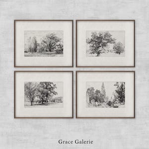Puede incluir: Cuatro dibujos en blanco y negro enmarcados de árboles y un edificio. Los marcos son de madera marrón y los dibujos son todos en un estilo similar.