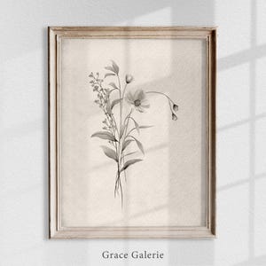 K&ouml;nnte beinhalten: Eine Schwarzwei&szlig;illustration eines Blumenstrau&szlig;es in einem einfachen Rahmen. Die Blumen sind zart und haben einen Vintage-Look. Der Text "Grace Galerie" befindet sich am unteren Rand des Bildes.