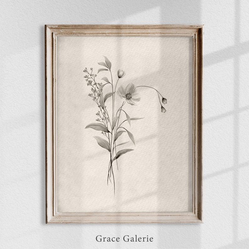 K&ouml;nnte beinhalten: Eine Schwarzwei&szlig;illustration eines Blumenstrau&szlig;es in einem einfachen Rahmen. Die Blumen sind zart und haben einen Vintage-Look. Der Text "Grace Galerie" befindet sich am unteren Rand des Bildes.