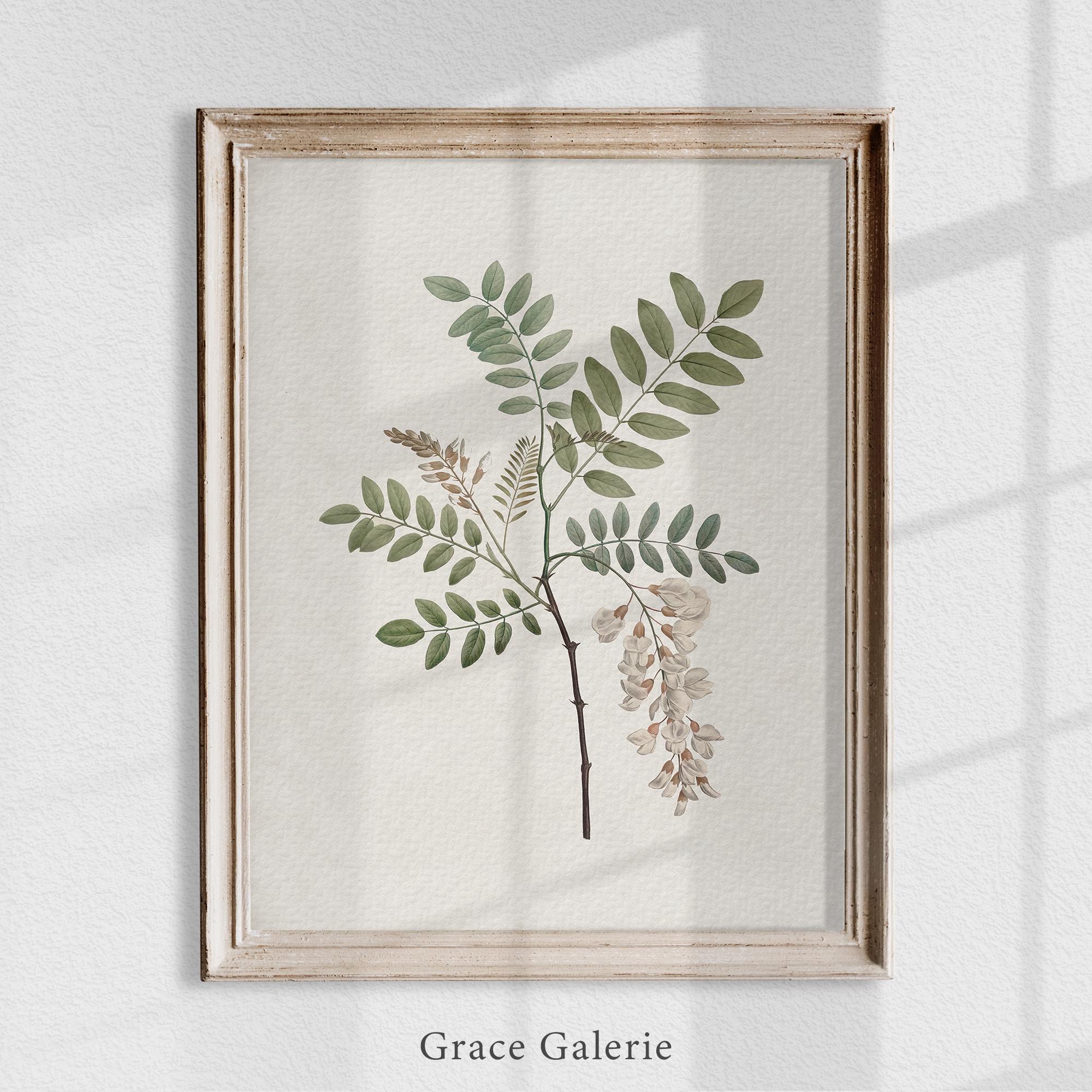Vintage Botany Gallery Wall Art | Set of 2 | Vintage Botany | PRINTABLE ...